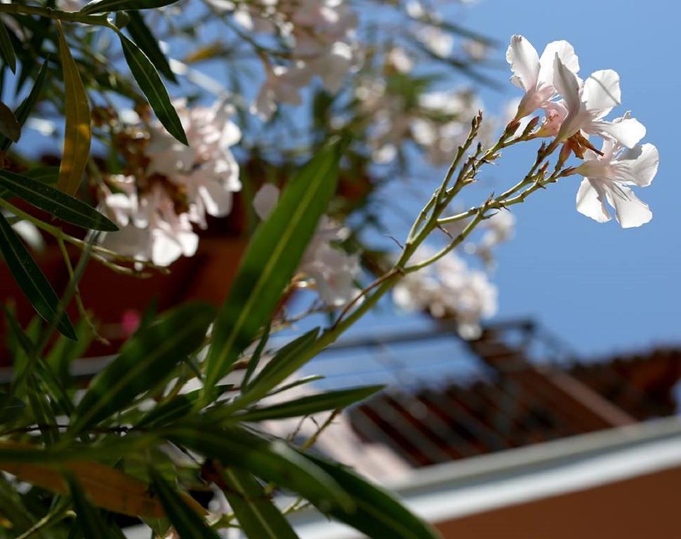 Vassilis Studio'S Perivolion Exterior photo